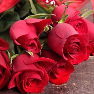 Meet your Posher, Cathy